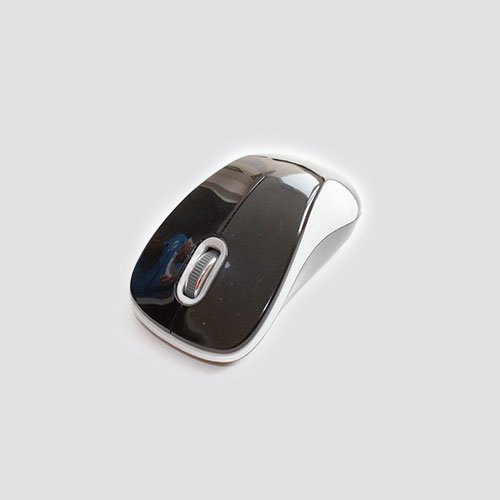 Mouse TRt-11